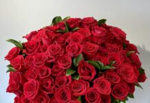 AMOR OU PRESSÃO? DIA DOS NAMORADOS DIVIDE OPINIÕES EM ANGOLA